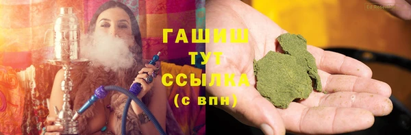 прущий лед Дмитриев