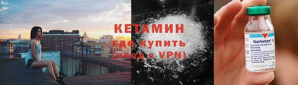 трава Тавда