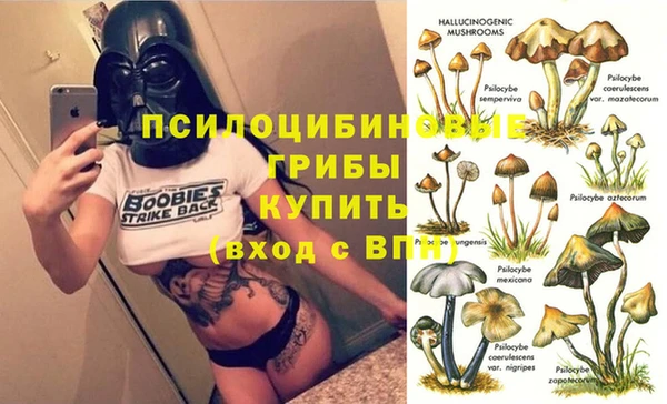марки nbome Дмитровск