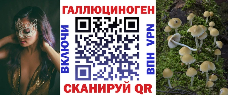 закладки  Эртиль  Галлюциногенные грибы мицелий 