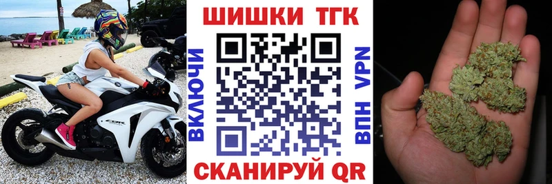 хочу наркоту  Эртиль  Бошки марихуана индика 